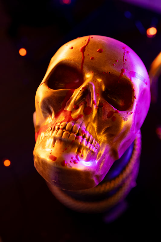 DEATH OF THE PARTY